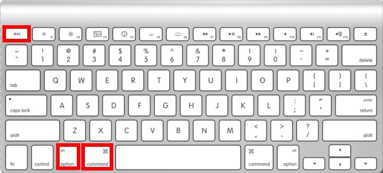command+opt+esc