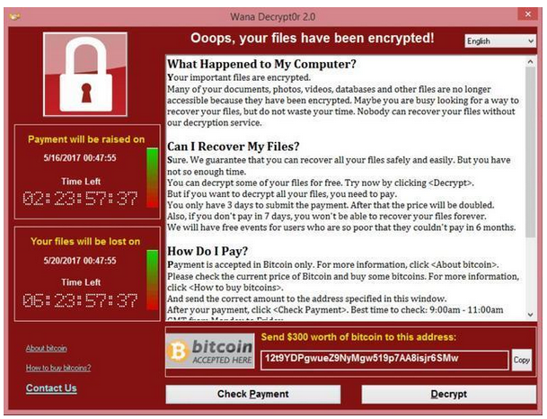 your files are encrypted bitcoin