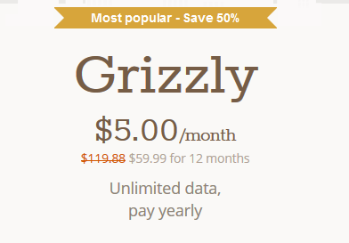 tunnelbear discount code